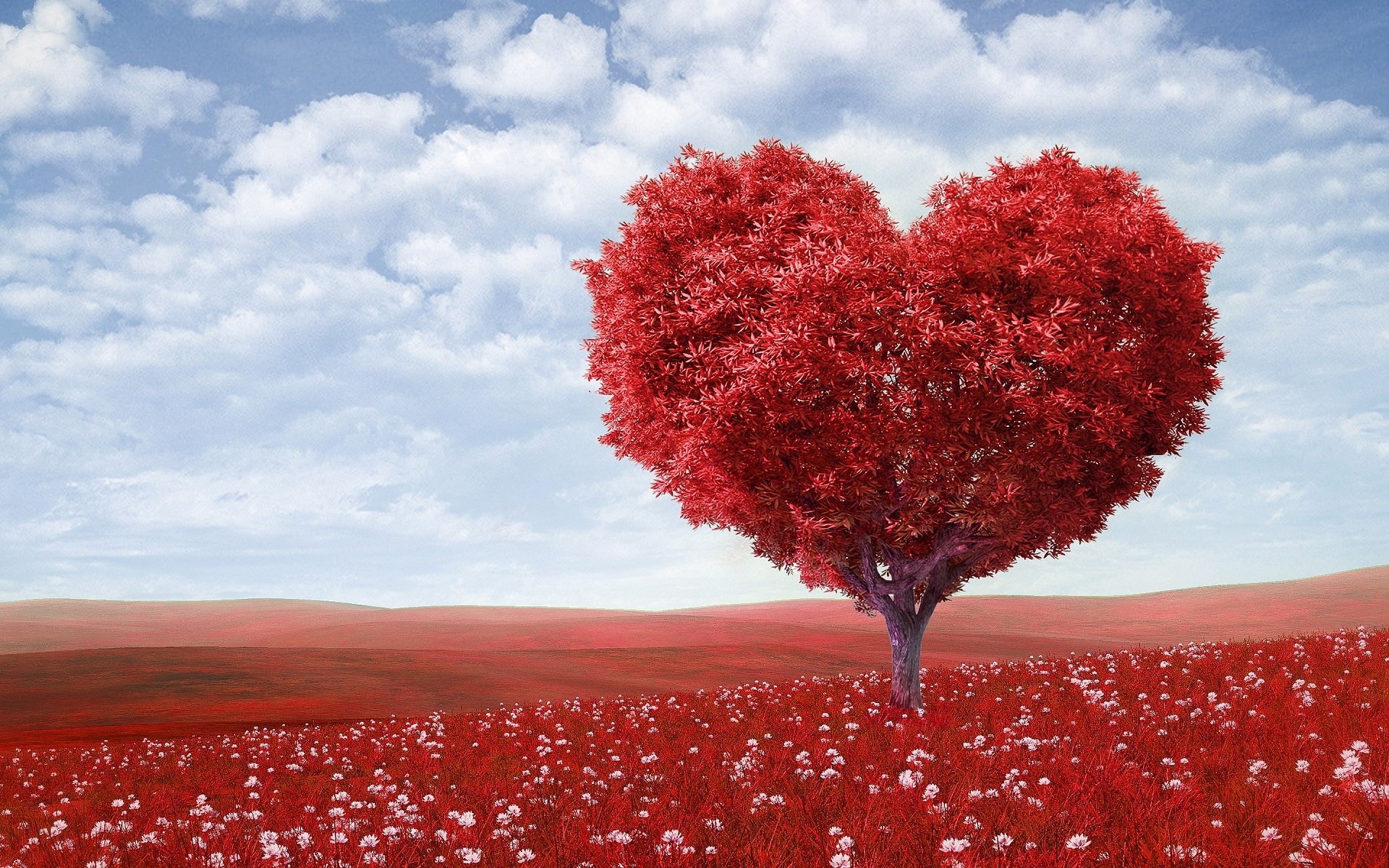 Mediation of the Office Love Contract