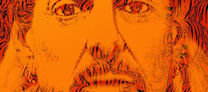 Tiger King: A few important things about mediation we learned from Joe Exotic